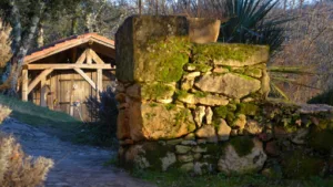 Reijnen Peter – Domus à Les Eyzies