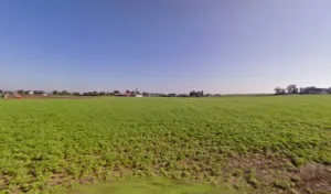 Cotes et Plans à Crottes-en-Pithiverais