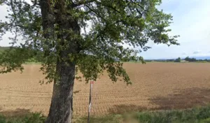 F Thezier à Mours-Saint-Eusèbe