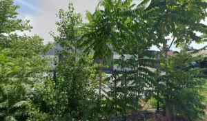 Vial Habitat Grenoble à Échirolles
